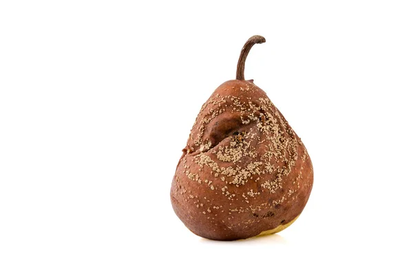 Poire pourrie isolé gros plan — Photo