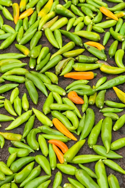 Chiles roosteren — Stockfoto