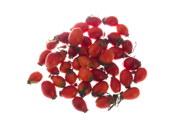 Frutas de rosa moscada — Fotografia de Stock