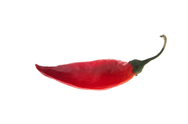 Red pepper — Stock Photo, Image