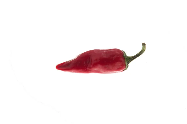 Red pepper — Stock Photo, Image