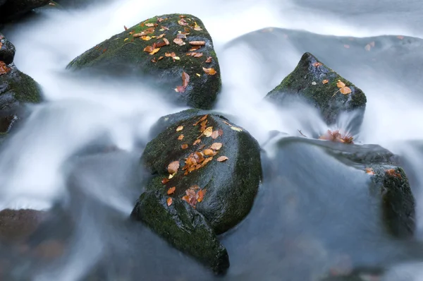 秋天 河流 — 图库照片