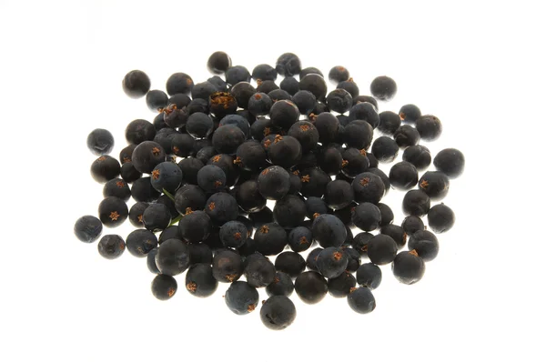 Juniper Berries — Stock Photo, Image