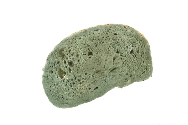 Bröd mögel — Stockfoto