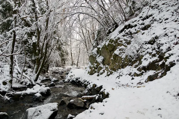 Rivière d'hiver — Photo