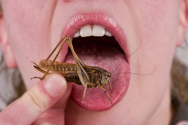 Bug in mouth — Stock Photo, Image