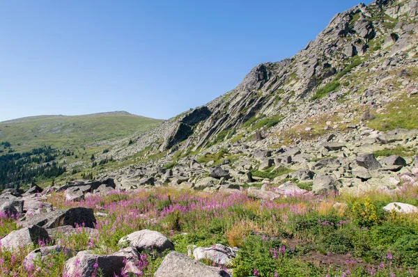 Bergsteigen — Stockfoto