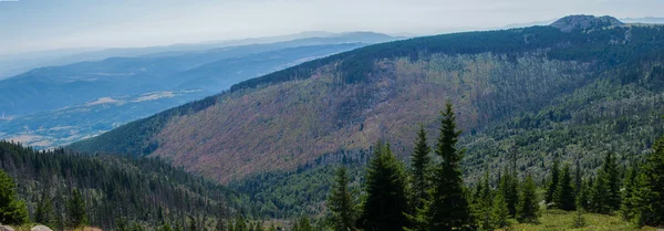 Панорама горы — стоковое фото