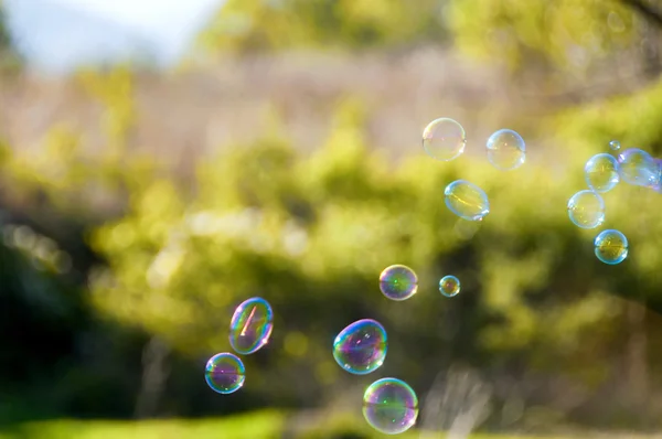 Die Regenbogenblasen — Stockfoto