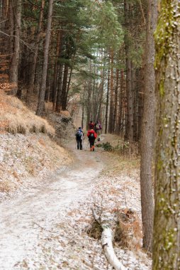 soğuk bir günde bir parkta kış saati