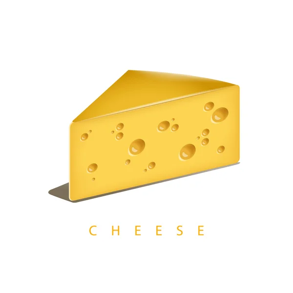 Pedaço de queijo saboroso —  Vetores de Stock