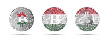 Macaristan bayrağı taşıyan üç Bitcoin kripto sikkesi. Geleceğin parası. Modern kripto para birimi vektör çizimi