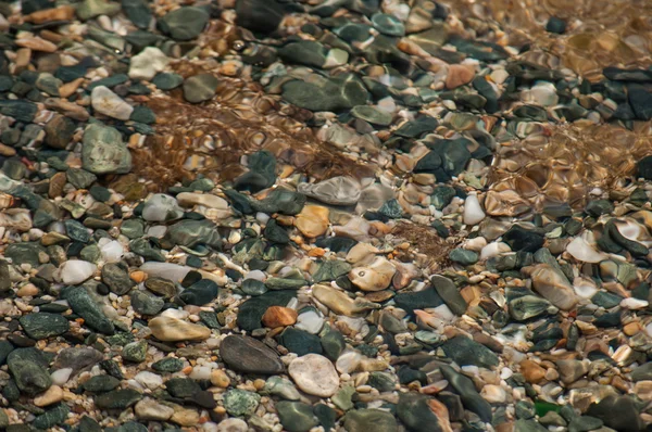 Kieselsteine unter dem klaren Meerwasser — Stockfoto