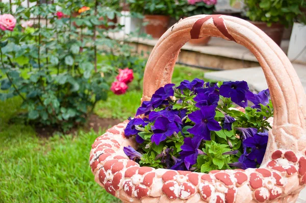 Jardiniere - with purple petunias — Zdjęcie stockowe