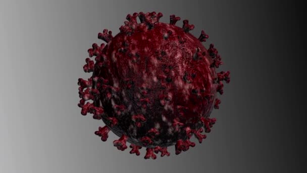 La bactérie vole dans l'espace. Virus sur fond gris. Coronavirus Covid-19 — Video