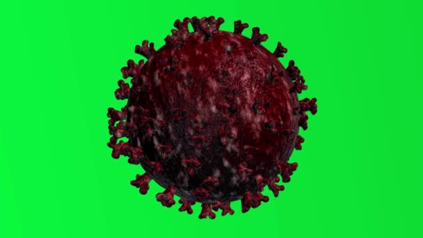 Бактерия летит в космосе. Вирус на зеленом фоне. Коронавирус Ковид-19 — стоковое видео