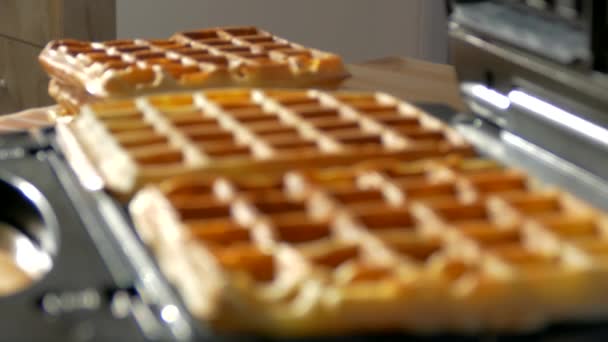 Gaufres Cuites Dans Gaufrier Dessert Sucré Base Pâte Sur Assiette — Video