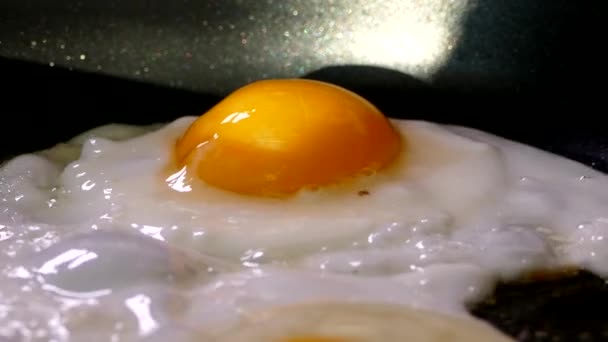 L'œuf est frit dans une poêle. Petit déjeuner avec œufs brouillés. Jaune et protéines. — Video