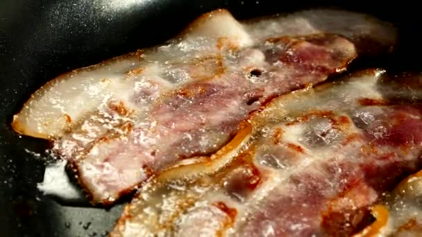 把培根放在锅里煎 一片猪肉培根是用自己的脂肪制成的 肉和猪油层 关在厨房里 — 图库视频影像