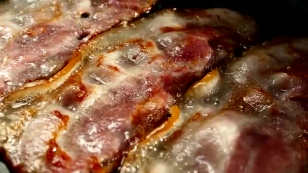 Fry the bacon in a pan. A slice of pork bacon is prepared in its own fat. Layer of meat and lard. Close up in the kitchen. — Stock Video