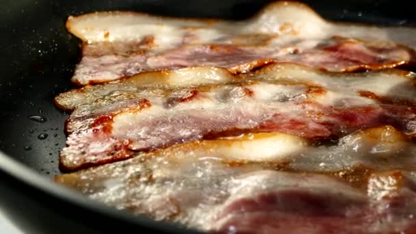 Обсмажити бекон на сковороді. Шматочок свинячого бекону готують у власному жирі. Шар м'яса та салату. Крупним планом на кухні . — стокове відео