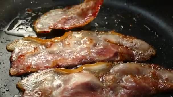 Fry the bacon in a pan. A slice of pork bacon is prepared in its own fat. Layer of meat and lard. Close up in the kitchen. — Stock Video