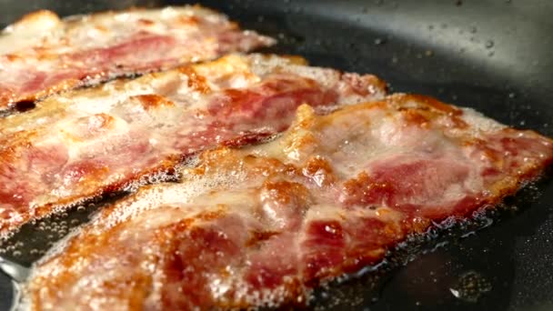 Faire frire le bacon dans une casserole. Une tranche de lard de porc est préparée dans sa propre graisse. Couche de viande et de saindoux. Fermer dans la cuisine. — Video