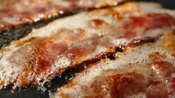 Fry the bacon in a pan. A slice of pork bacon is prepared in its own fat. Layer of meat and lard. Close up in the kitchen. — Stock Video