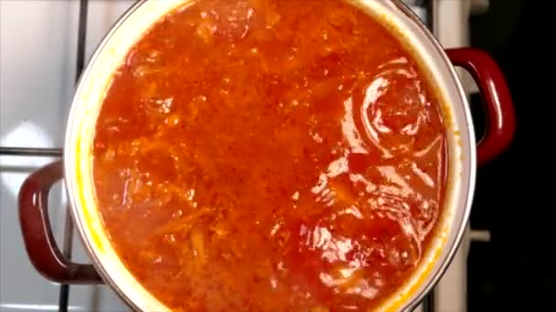 Liquid red dish boils in a pan. Ukrainian borsch. Stew with vegetables and table beets and carrots. — Stock Video