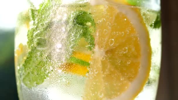 ソフトドリンクをアイスでさっぱり レモンとミントをグラスに入れたモヒート 炭酸水を閉じ込めます ガラスに冷たい露の滴 — ストック動画