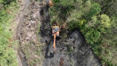 Sürüngen kazıcı ağaçları devirir ve toprağı kazar. Yukarıdan bak. Bir buldozer yeni projeler yapmak için bataklıkları temizler.
