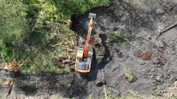 Uma escavadora de esteiras derruba árvores e cava o chão. Vista de cima. Uma escavadora limpa pântanos para construir novos projetos. — Vídeo de Stock