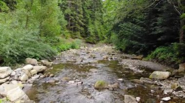 Güzel dağ nehri. Manzara ve temiz su akıntısı. Kayaların arasındaki dağ deresi.