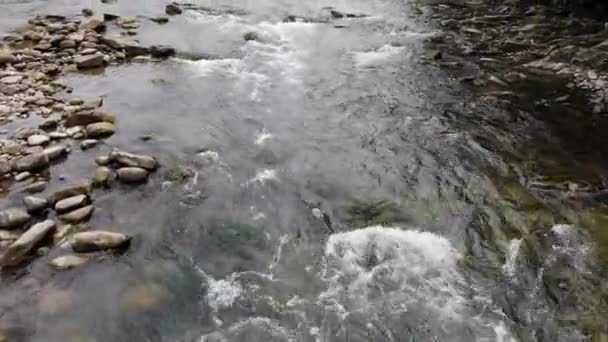 Красивая Горная Река Пейзаж Поток Чистой Воды Горный Поток Между — стоковое видео