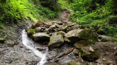 Dağ şelalesi. Dağlarda nehirler ormanlarda kayalar ve ağaçlar arasında.