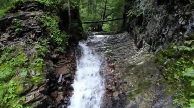Dağ şelalesi. Dağlarda nehirler ormanlarda kayalar ve ağaçlar arasında.