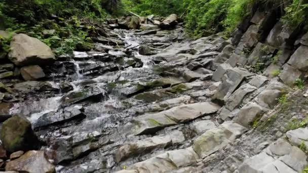 Cascada del arroyo. Río en las montañas en el bosque entre piedras y árboles. — Vídeo de stock
