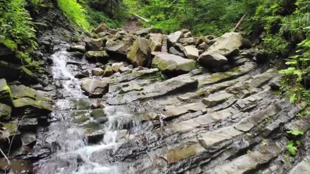 Cascada del arroyo. Río en las montañas en el bosque entre piedras y árboles. — Vídeos de Stock