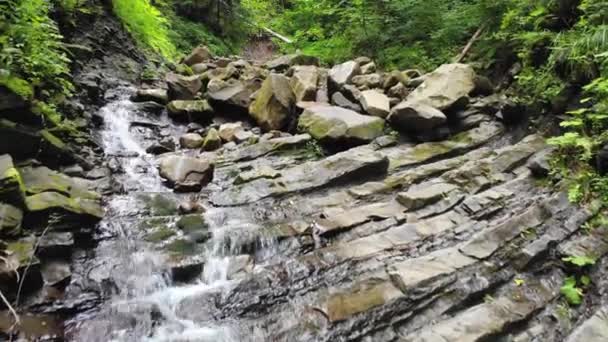 Bergbeekwaterval. Rivier in de bergen in het bos tussen stenen en bomen. — Stockvideo