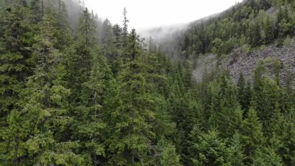 Dağlık arazinin manzaraları. Dağlar ve kozalaklı ormanlar. Dağlarda bulutlar. — Stok video