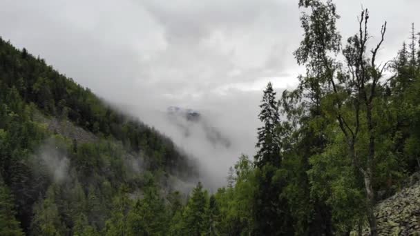 Landschaften des Hochlandes. Berge und Nadelwald aus der Höhe. Wolken in den Bergen. — Stockvideo