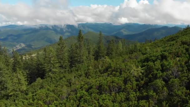 Lanskap Dataran Tinggi Gunung Gunung Dan Hutan Konifer Dari Ketinggian — Stok Video