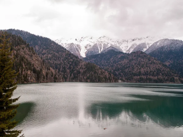 Lago Ritsa tra alte montagne — Foto Stock