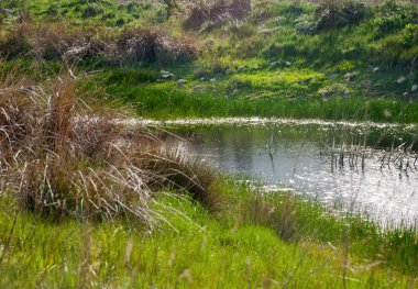 Yaz aylarında nehir