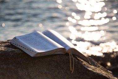 The bible on a stone against the sea