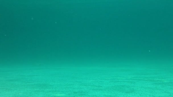 Βρώμικο υποβρύχια εξωτερική πισίνα — Αρχείο Βίντεο