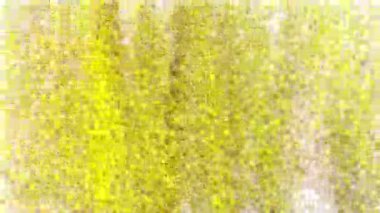 Küçük vitamini hücreleri tarafından kurulan bx Vitamin