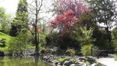 Japon bahçesinde bahar