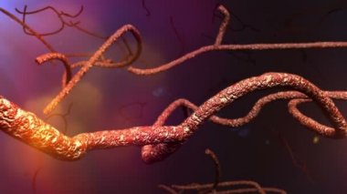 Mikroskobik Ebola virüsü