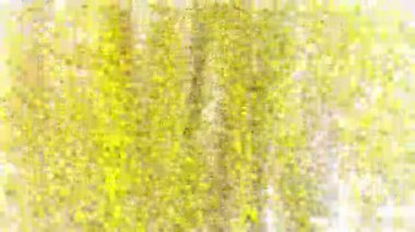 C vitamini küçük vitamini hücreleri tarafından oluşturulmuş